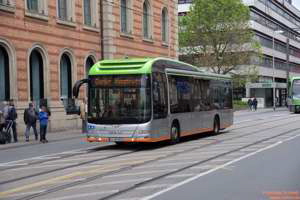 D86616